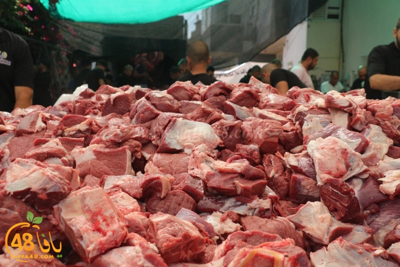 lod8om ada73y (7).JPG